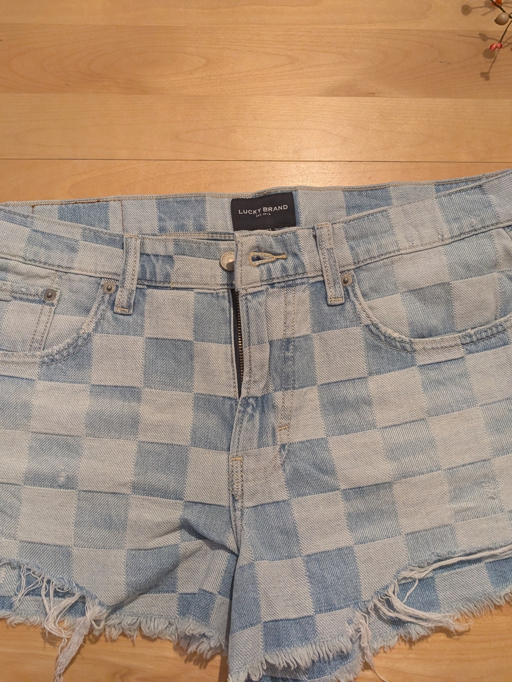 Lucky Brand Women's Light Blue Checkered Jeans - 12/31